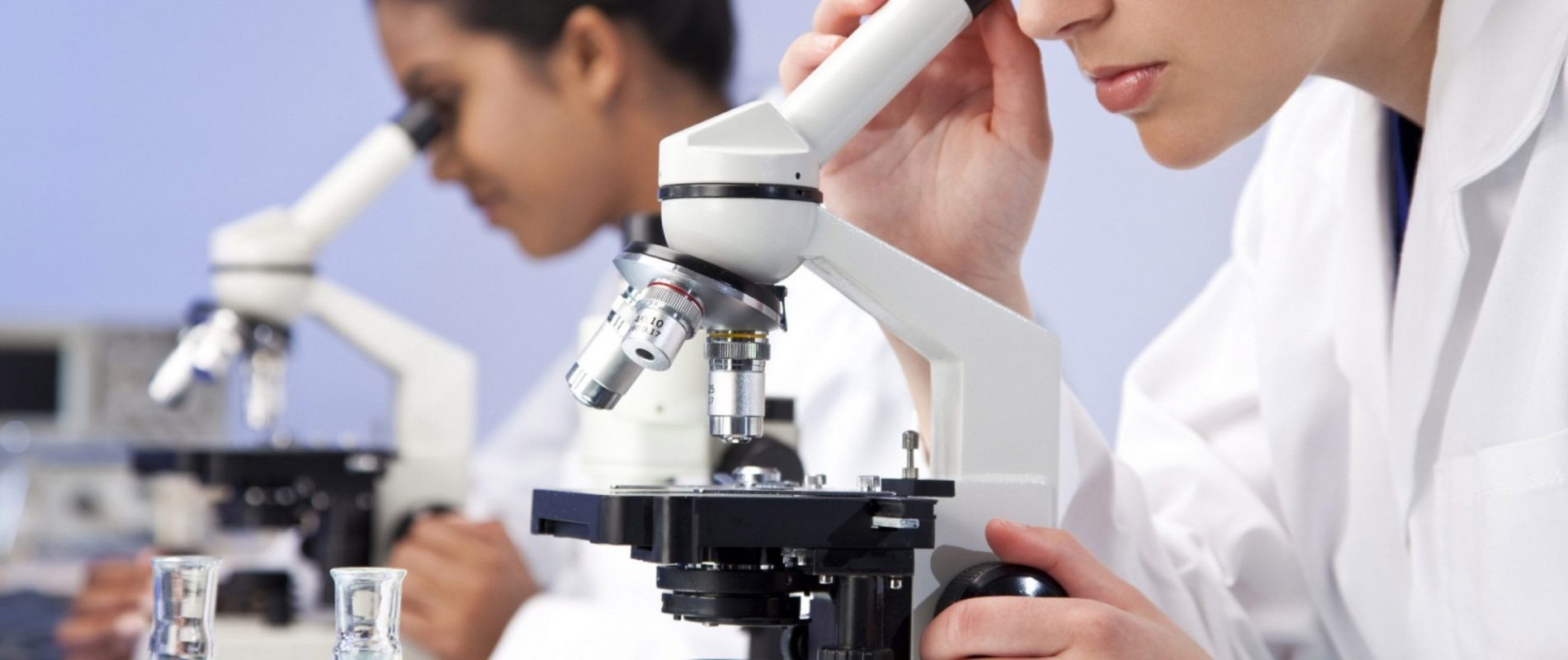 oportunidade oportunidade